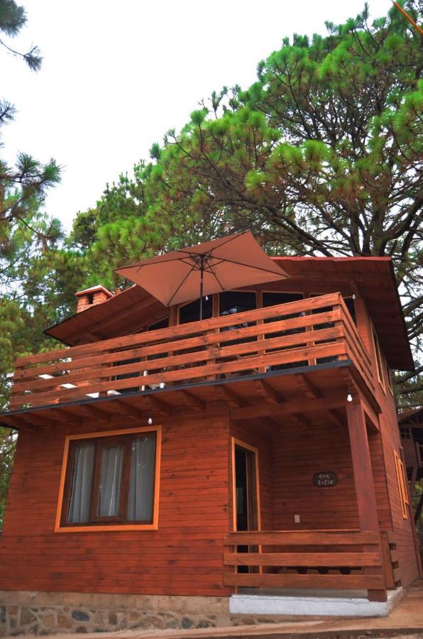 Villas Carolina Мазамитла Экстерьер фото